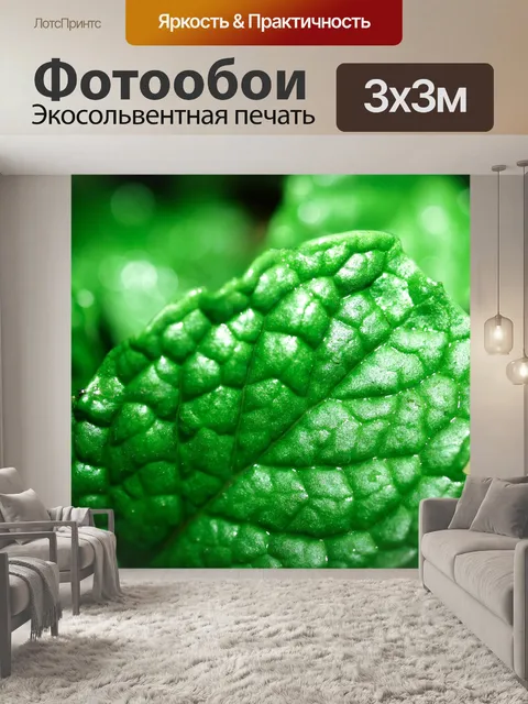 Фотообои Свежие листья мяты