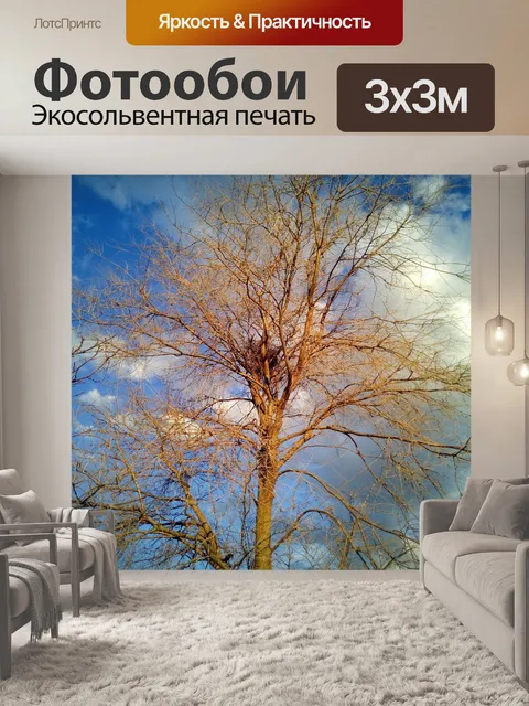 Фотообои Деревья