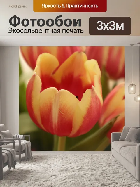 Фотообои Цветы