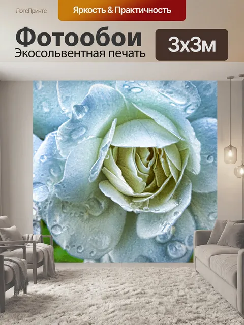 Фотообои белая роза