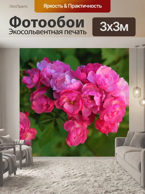 Фотообои Розы