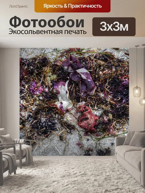 Фотообои Морская жизнь на песке