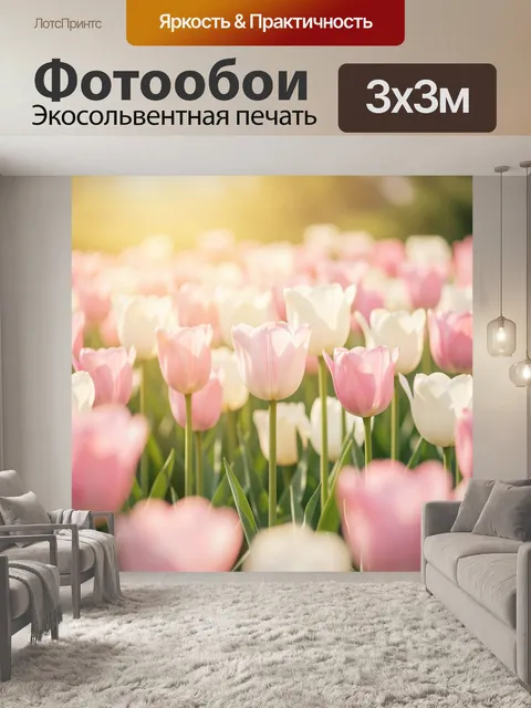 Фотообои Нежные тюльпаны в лучах солнца