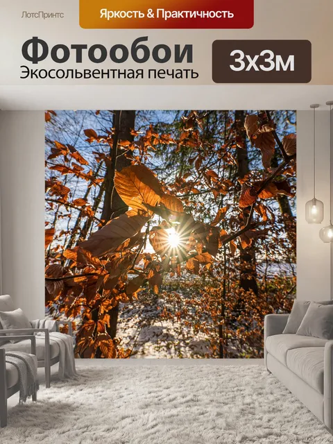 Фотообои Зима