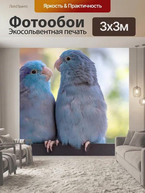 Фотообои Попугаи