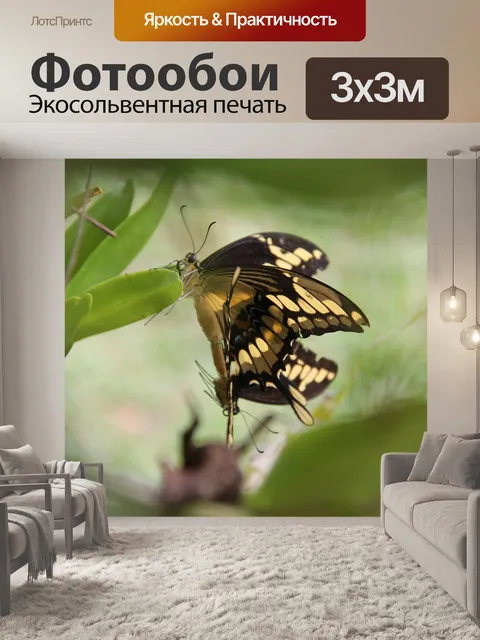 Фотообои Бабочка