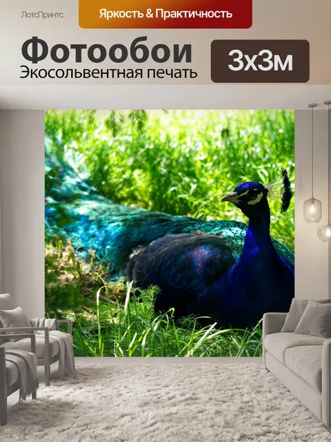 Фотообои Павлин