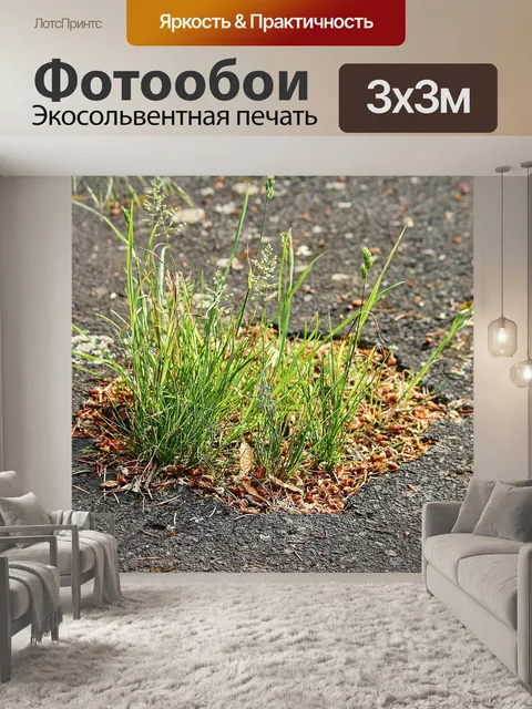 Фотообои Асфальт