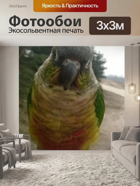 Фотообои Птица
