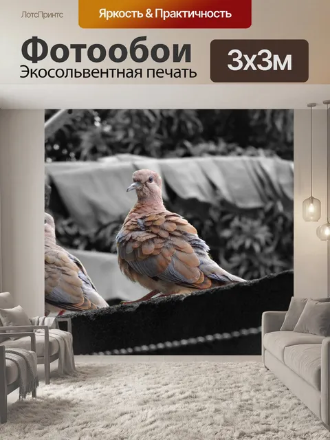 Фотообои Голуби
