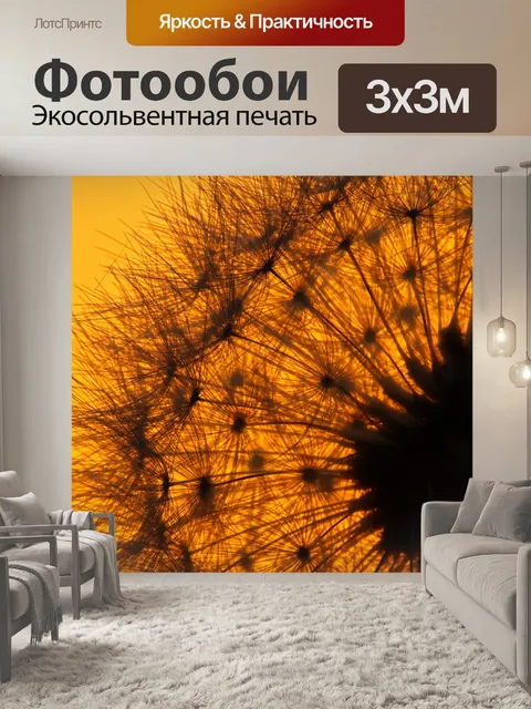 Фотообои Одуванчик