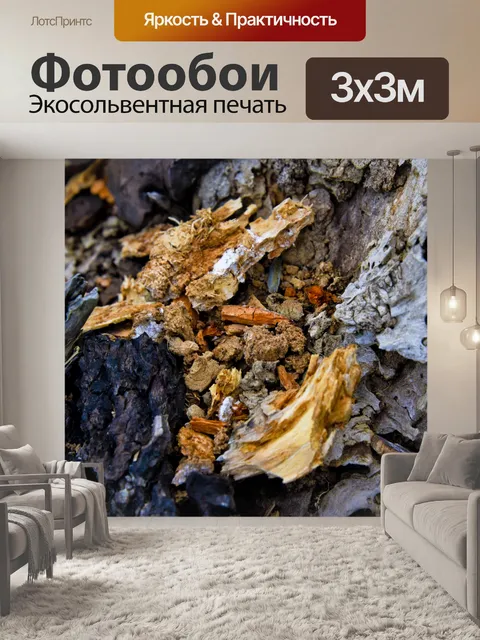 Фотообои Мертвое дерево