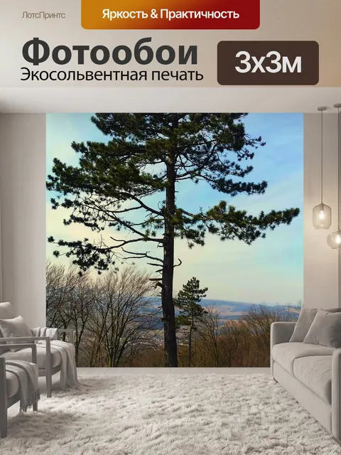 Фотообои Хвойный