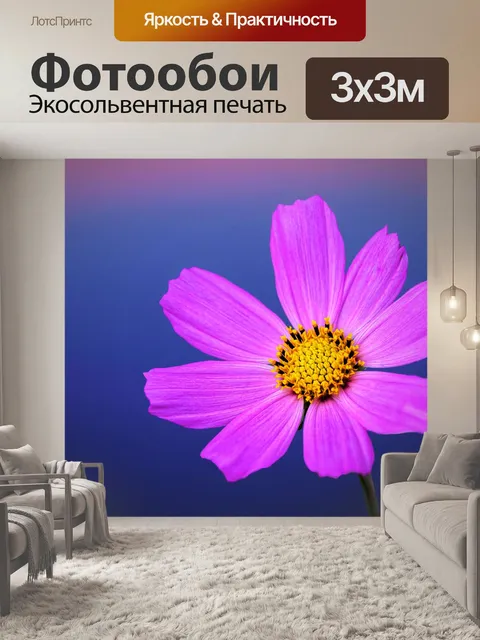 Фотообои Блоссом цветник природа