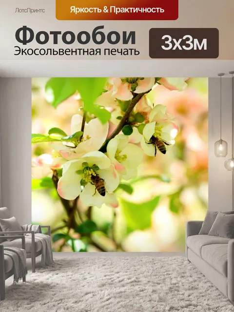 Фотообои Цветок