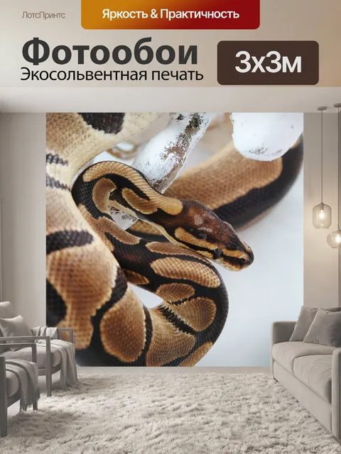 Фотообои Линия