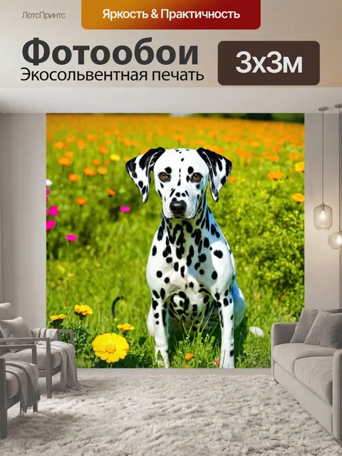 Фотообои далматинец, позирующий с природным фоном, яркие цветы и зеленая трава, живописный и красочный пейзаж