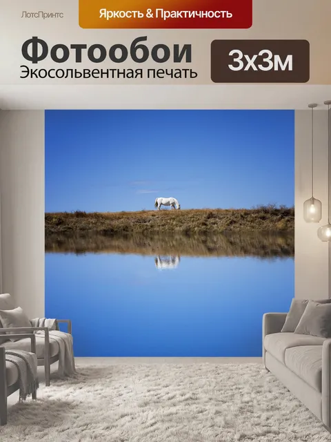 Фотообои Лошадь