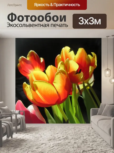 Фотообои Тюльпаны