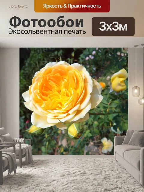 Фотообои Дерево
