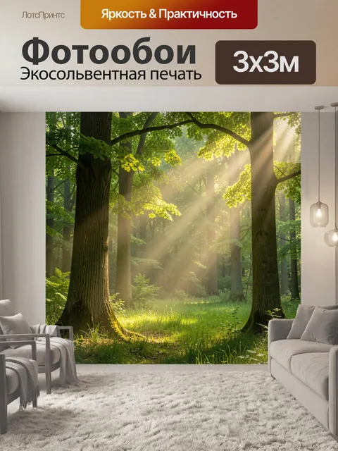 Фотообои Солнечный лес с лучами света