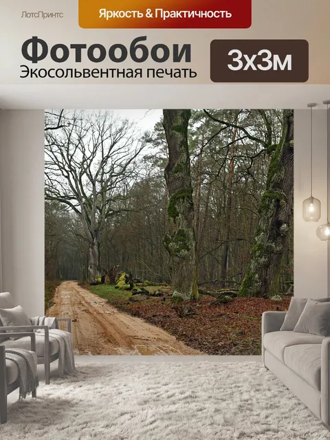 Фотообои Лес