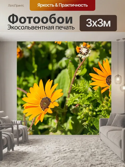 Фотообои Цветы