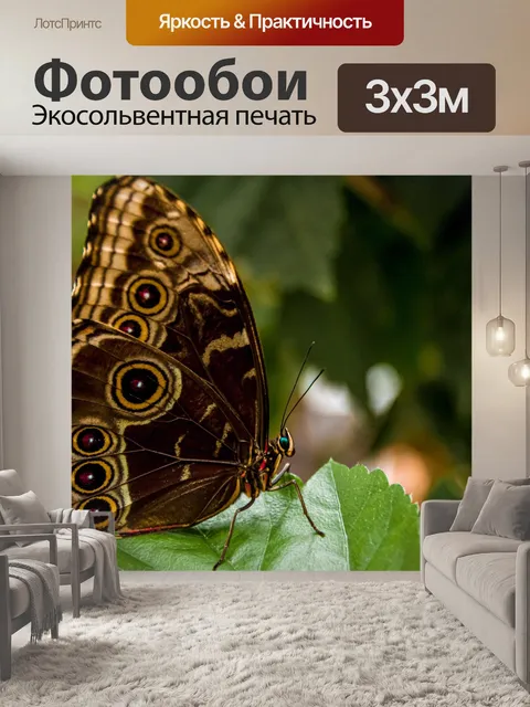 Фотообои Бабочка