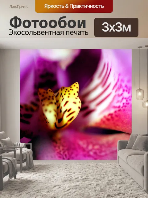 Фотообои Фиолетовые орхидеи крупным планом