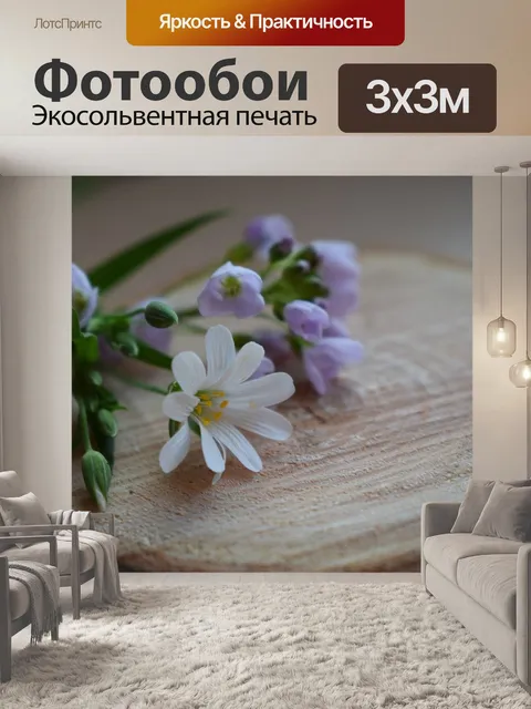 Фотообои Цветок