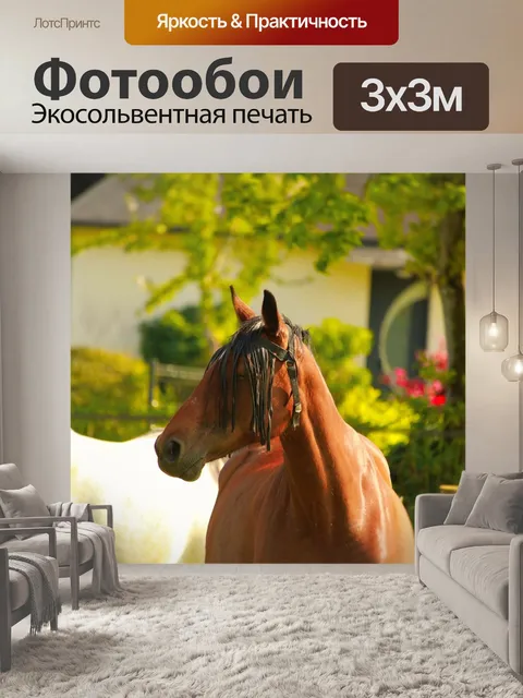 Фотообои Лошадь рысак