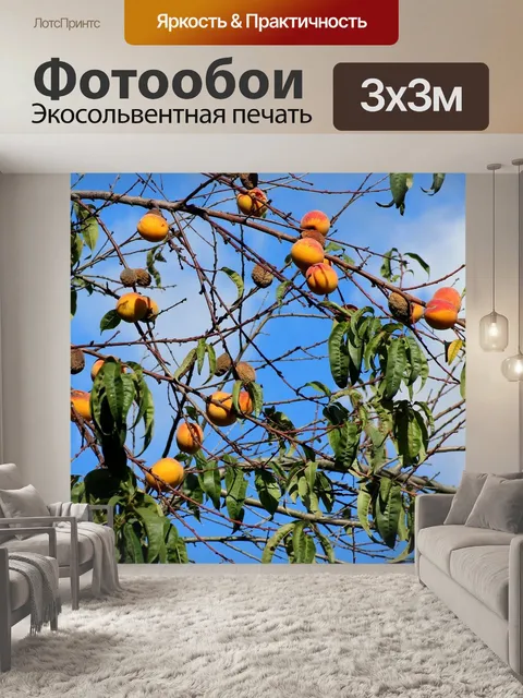 Фотообои Персики