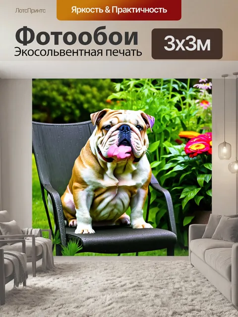 Фотообои английский бульдог с восхитительным выражением лица сидит на стульчике в саду