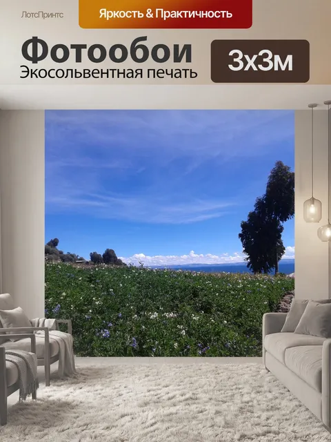Фотообои Цветы