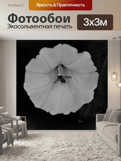 Фотообои Пчела и цветок