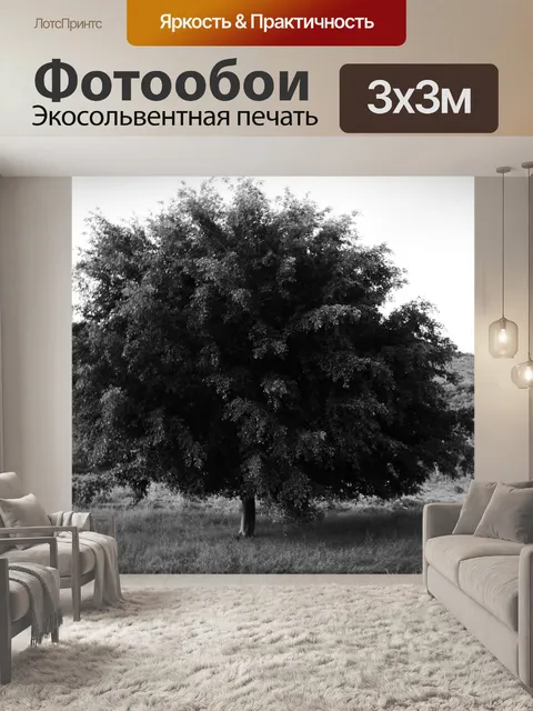 Фотообои Дерево