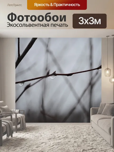 Фотообои Лес