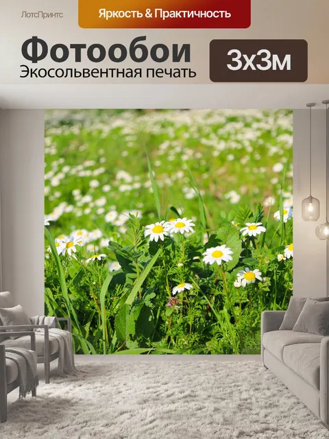 Фотообои Луг