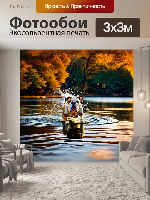 Фотообои бульдог, погружающийся в озеро, окружённое лесом