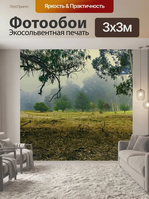Фотообои Сосновые деревья в травяном лугу