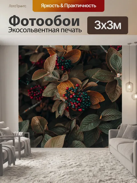 Фотообои Аэрофотосъемка