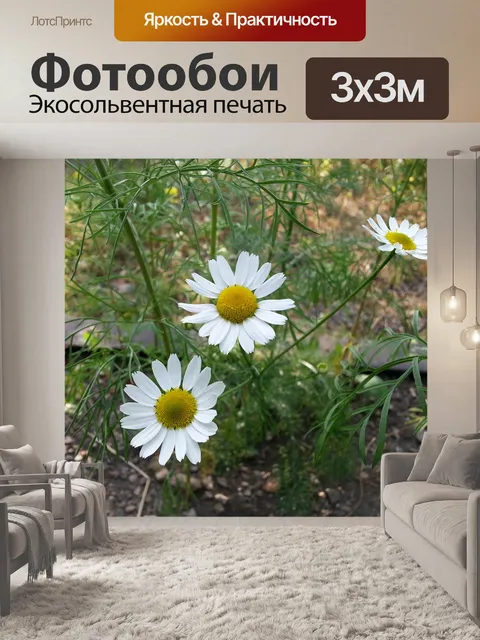 Фотообои Цветы