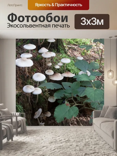 Фотообои Грибы