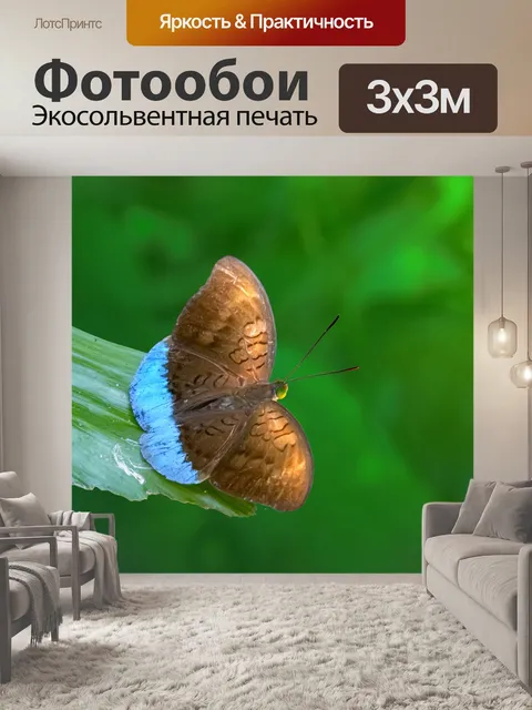 Фотообои Бабочка