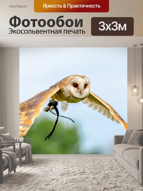Фотообои Птица