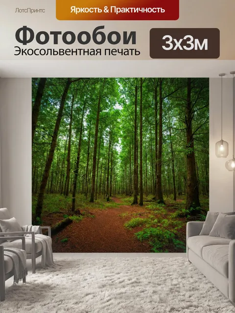 Фотообои нерушимая тишина леса с великолепными выражениями природы