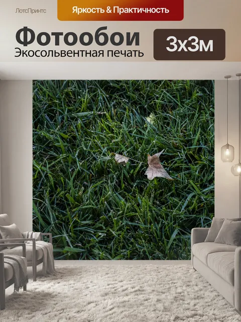 Фотообои Контрастность травы листьев