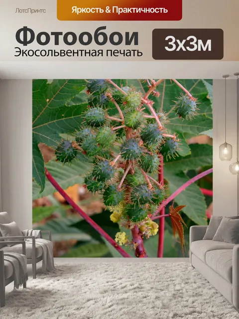 Фотообои Природа Крита