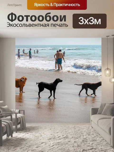 Фотообои Собаки на пляже