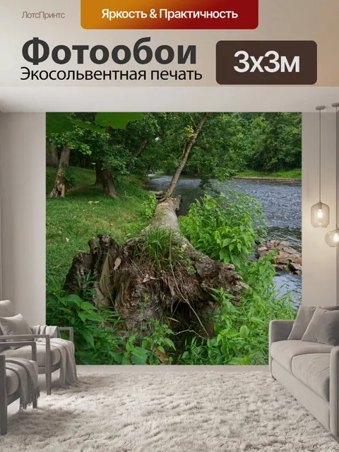Фотообои Упавшее дерево